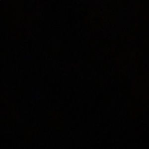 Meet your Posher, Stella